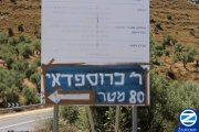 00001413-sign-rabbi-cruspidi-tana.jpg