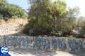 00000803-nanach-spray-paint-kever-choni-hamagel.jpg