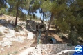 00001045-kever-rebbe-kruspedi.jpg