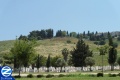 00001273-kever-chana-tzfat-cemetery.jpg