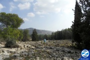 00001097-tomb-rav-yeva-sabba-baal-shem-tov-forest.jpg