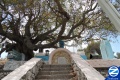 00001236-tomb-rabbi-tarfhon-kadita.jpg