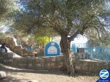 00000338-kever-rabbi-yossi-saragosi.jpg