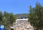 00001310-kever-rabbi-shimon-ben-elazar.jpg