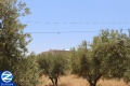 Thumbnail for version as of 04:09, 30 June 2014