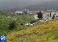 00000270-rabbi-yehoshua-edge-tzfat-cemetery.jpg