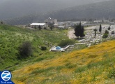 00000270-rabbi-yehoshua-edge-tzfat-cemetery.jpg