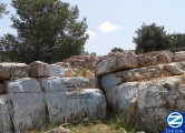 00000614-tzion-adino-haetzoni.jpg
