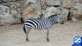 Thumbnail for version as of 20:13, 22 December 2011