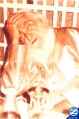 Thumbnail for version as of 13:47, 30 March 2012