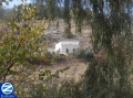 00000129-zivug-in-amuka.jpg