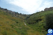00000682-path-going-up-to-arizal-mikvah.jpg