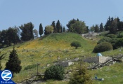 00000686-kever-chana-and-seven-children.jpg