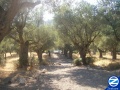 Thumbnail for version as of 01:08, 10 April 2012