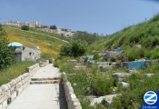 00000360-rabbi-shimon-across-rabbi-yehoshua.jpg