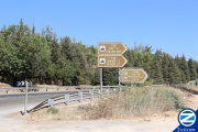 00001473-sign-kivarim-baal-shem-tov-forest.jpg