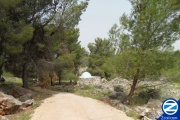 00001266-tomb-rabbi-chutzpit-tzfat.jpg