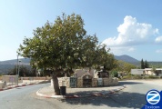 00000913-tomb-rabbi-phinehas-ben-jair.jpg
