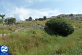 Thumbnail for version as of 16:20, 1 July 2012