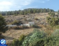 Thumbnail for version as of 09:29, 16 January 2012